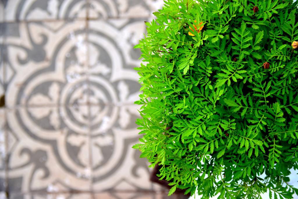 Riad Khmisa Tétouan Εξωτερικό φωτογραφία